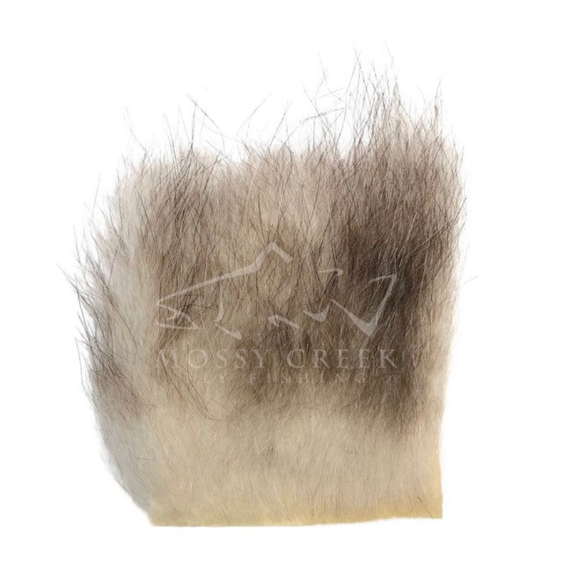 Opossum