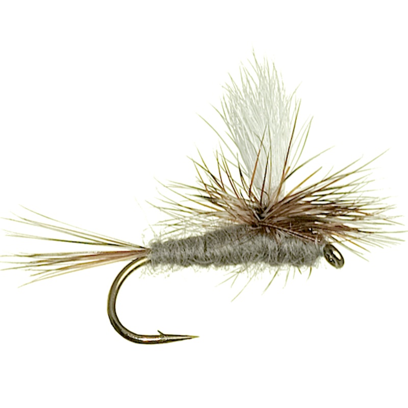 Parachute Adams 12