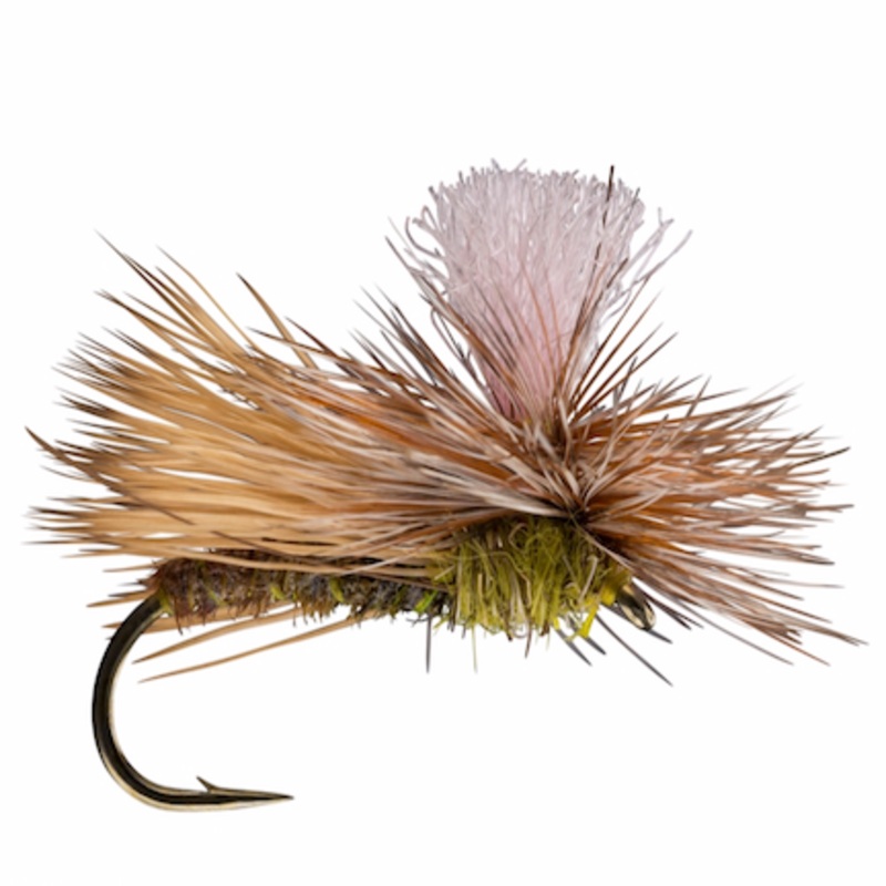 Parachute Caddis Olive 12