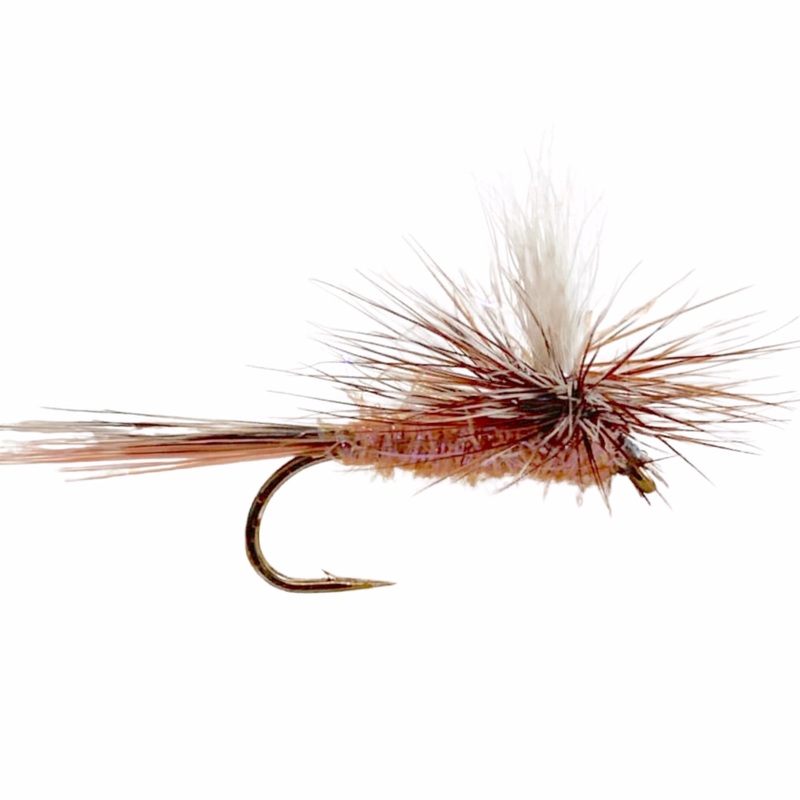 Parachute UV Cinnamon 14