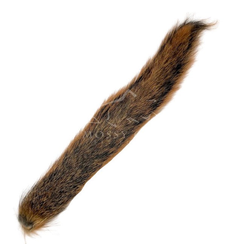 Squirrel Tail Natural Fox