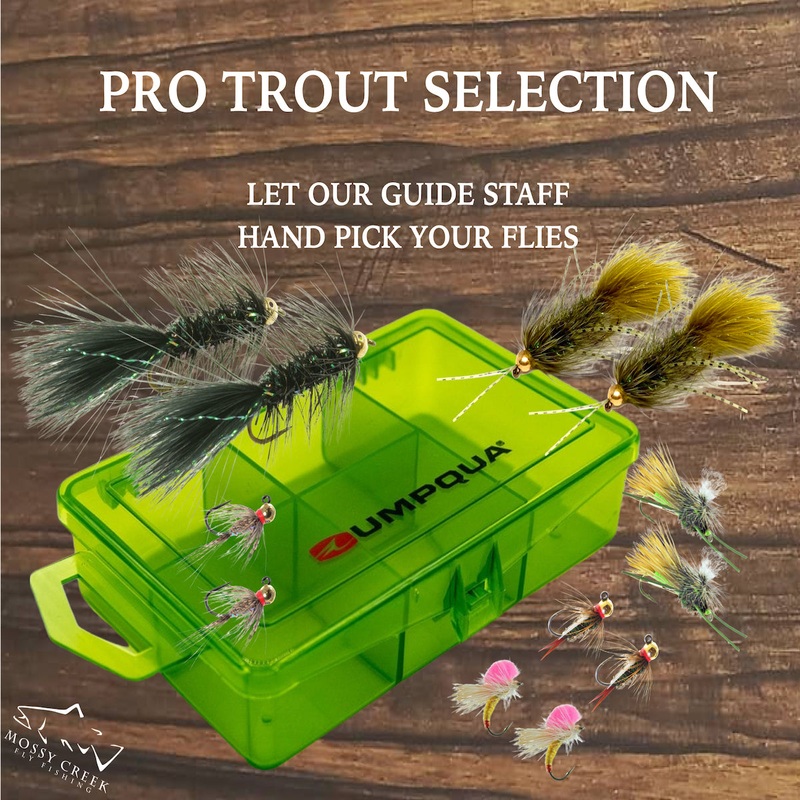 Trout Fly Selection Regular(14 Flies And Box For $50) Seasonal(Flies Currently In Season)