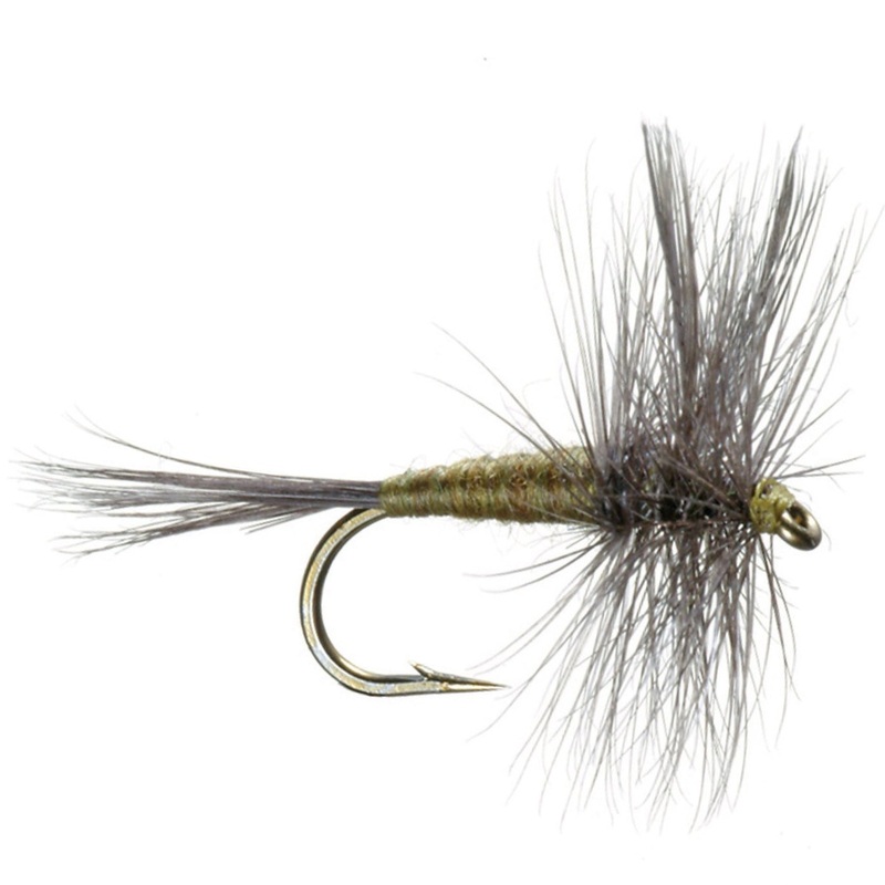 Blue Wing Olive 12