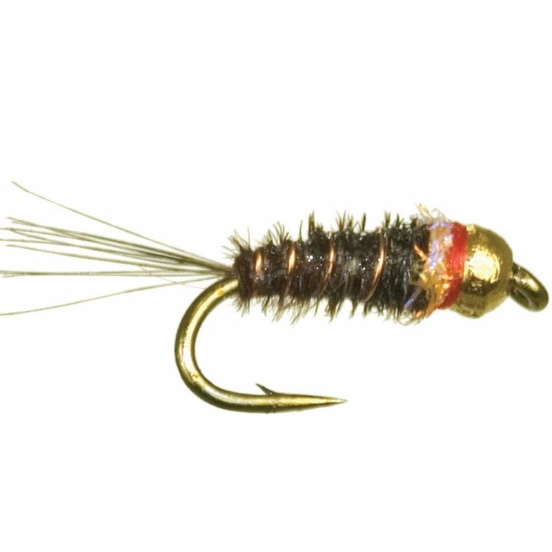 Egan's Frenchie 12