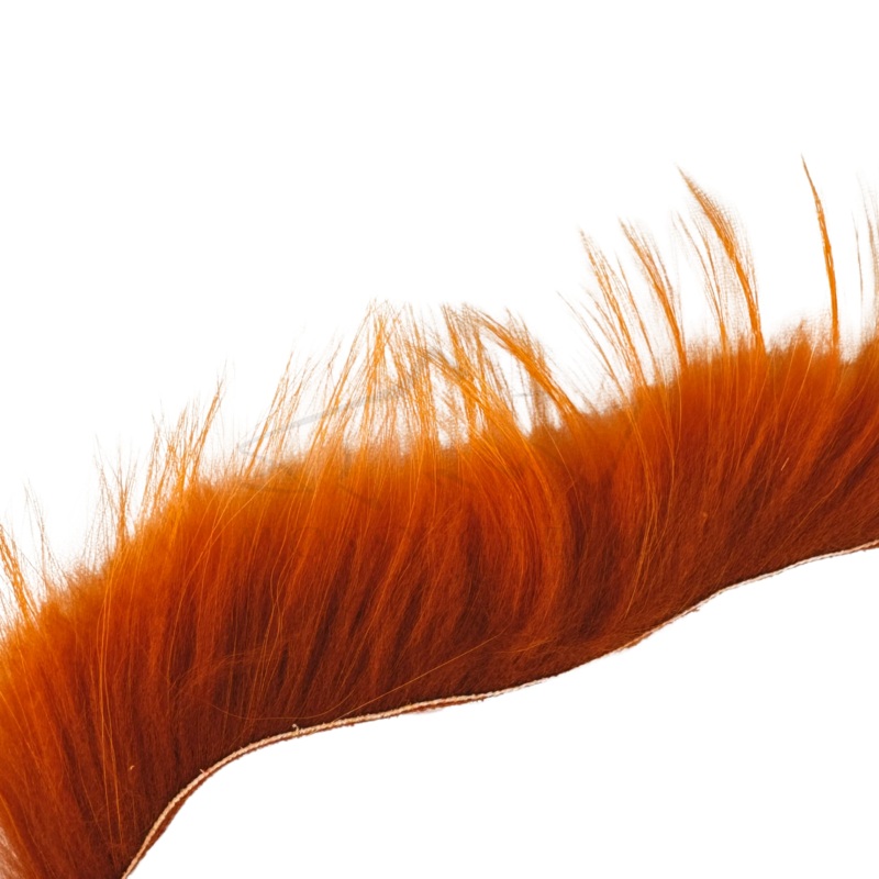 Finn Raccoon Zonkers Crawdad Orange