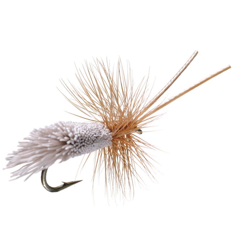 Goddard Caddis 12