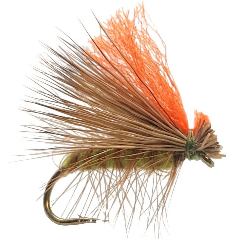 Hot Wing Caddis Olive 12