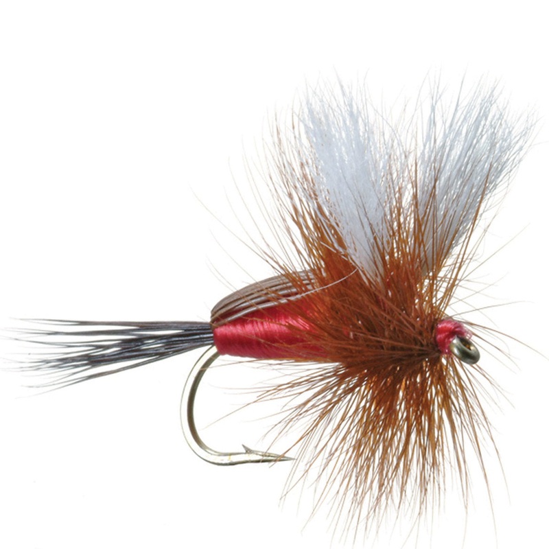 Humpy Royal 12