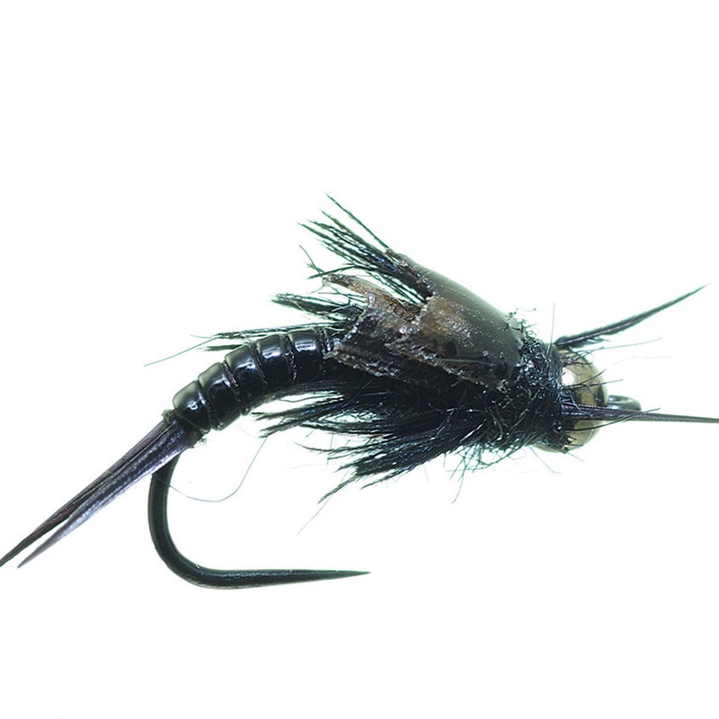 Little Sloan Black 12