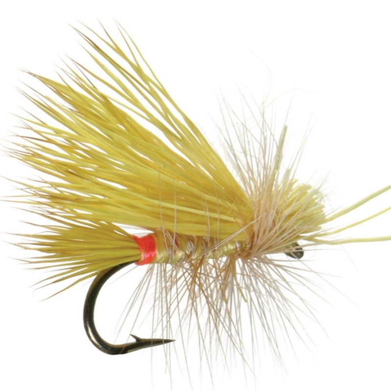 Little Yellow Stone 14