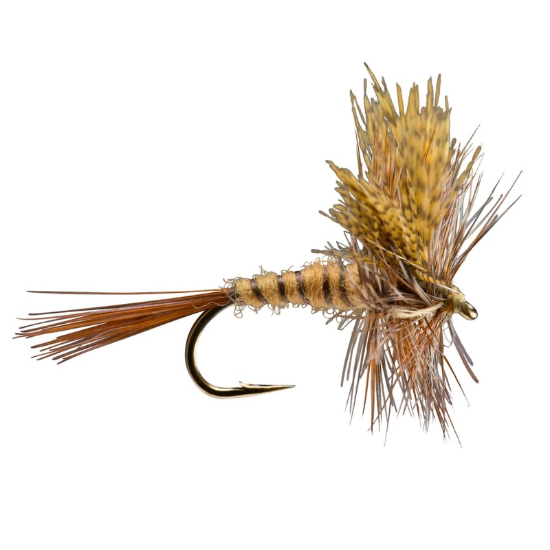 March Brown 12