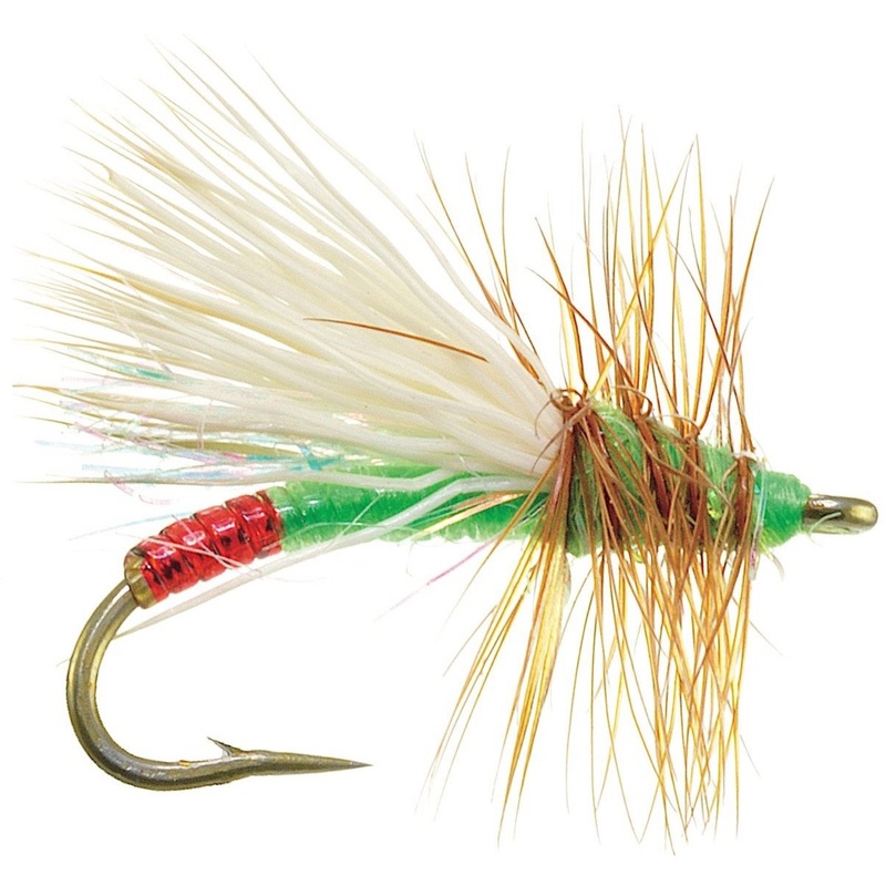 Mini Hot Garcia Green 16