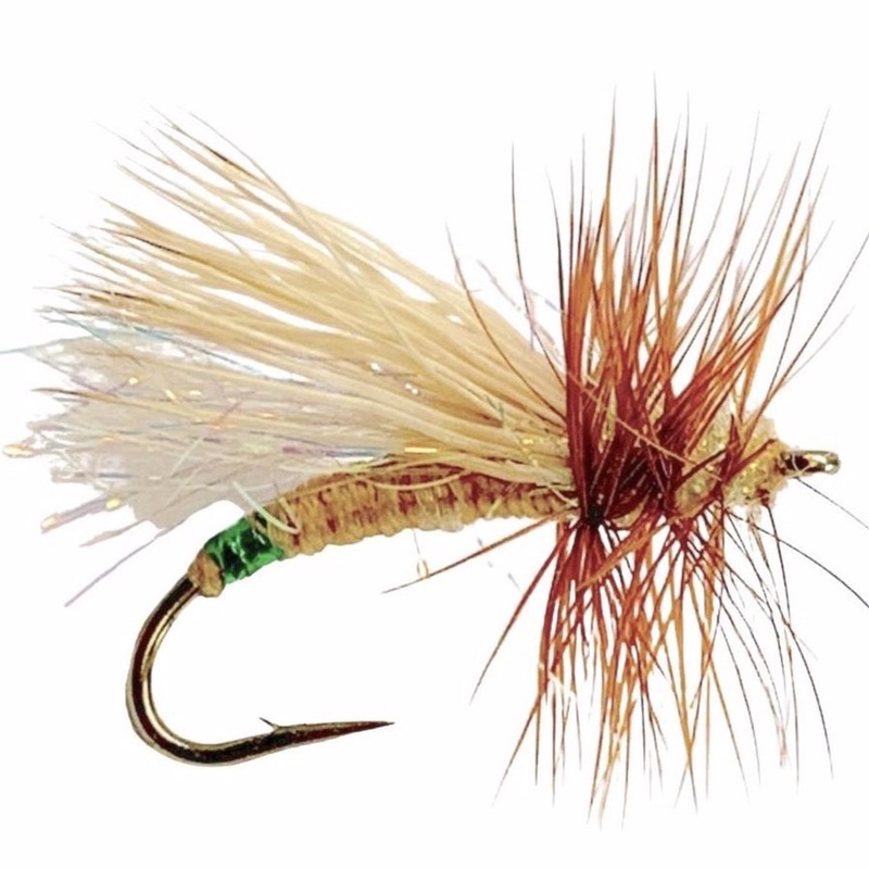 Mini Hot Garcia Tan 16