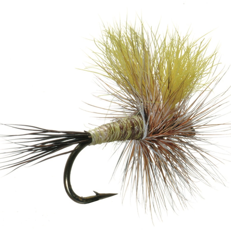 Mr. Rapidan 12
