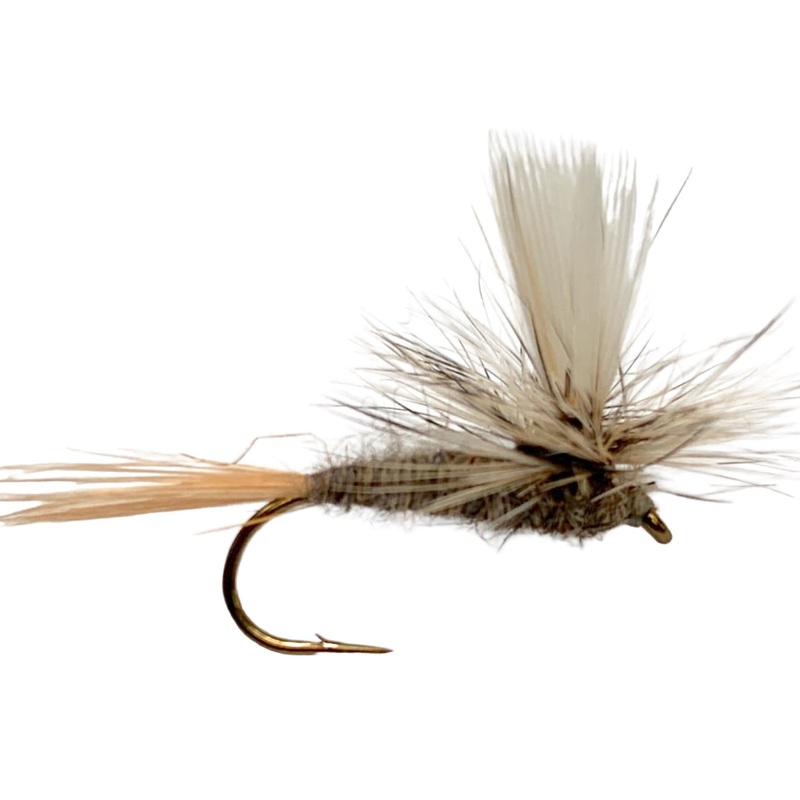 Parachute Hares Ear 12
