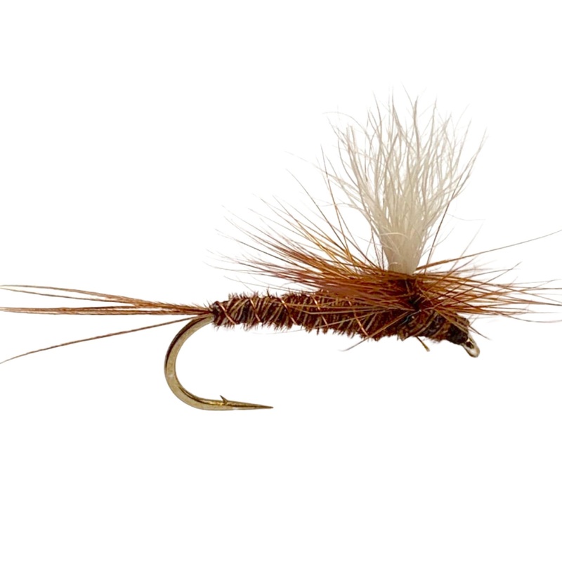 Parachute Pheasant Tail 12