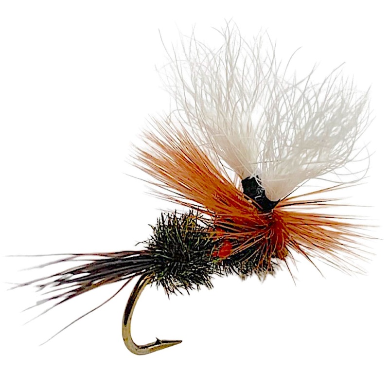 ParaWulff Royal 12