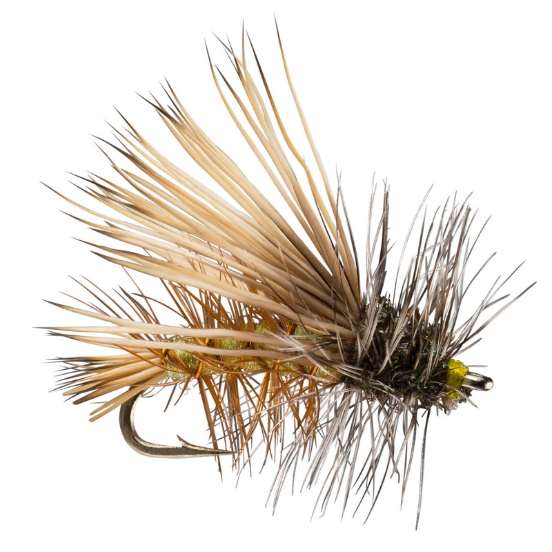 Stimulator Olive 10