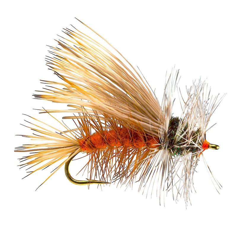 Stimulator Orange 10
