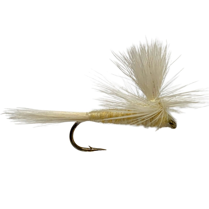 Parachute Cahill 12