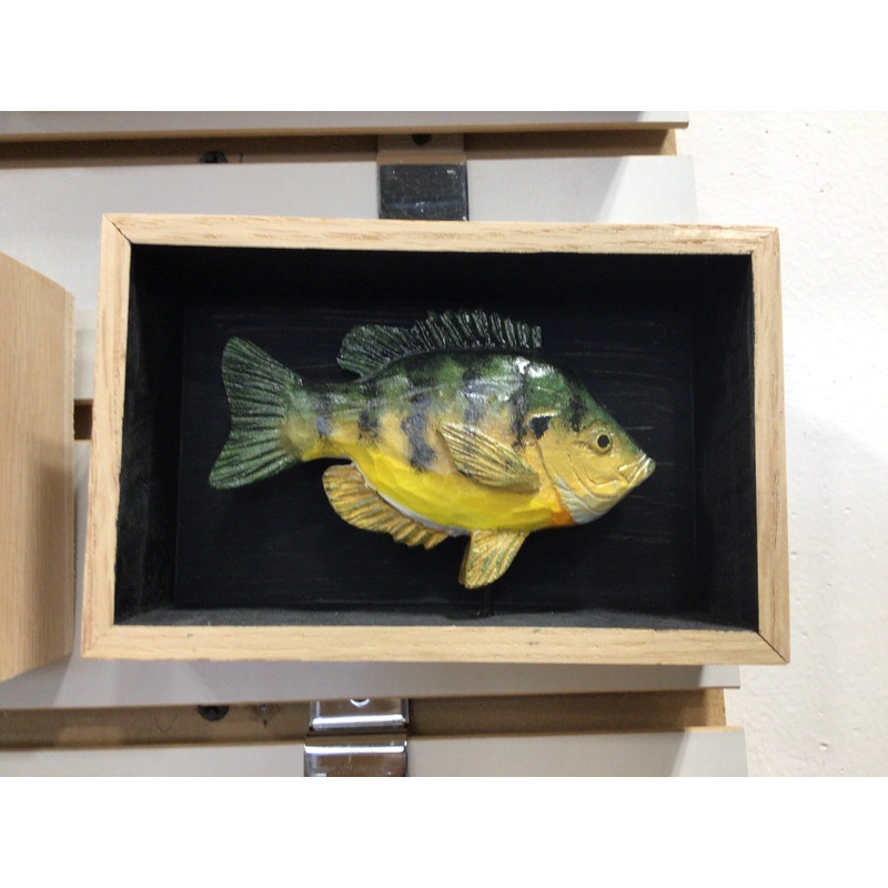 Batchik shadow box bluegill
