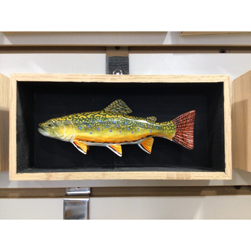 Batchik shadow box brook trout