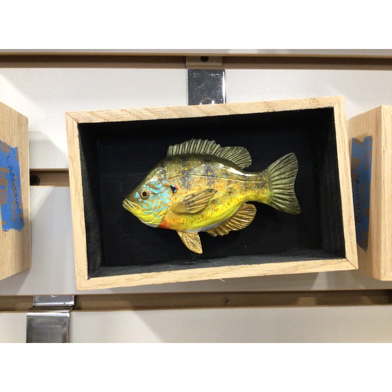 Batchik shadow box pumpkinseed