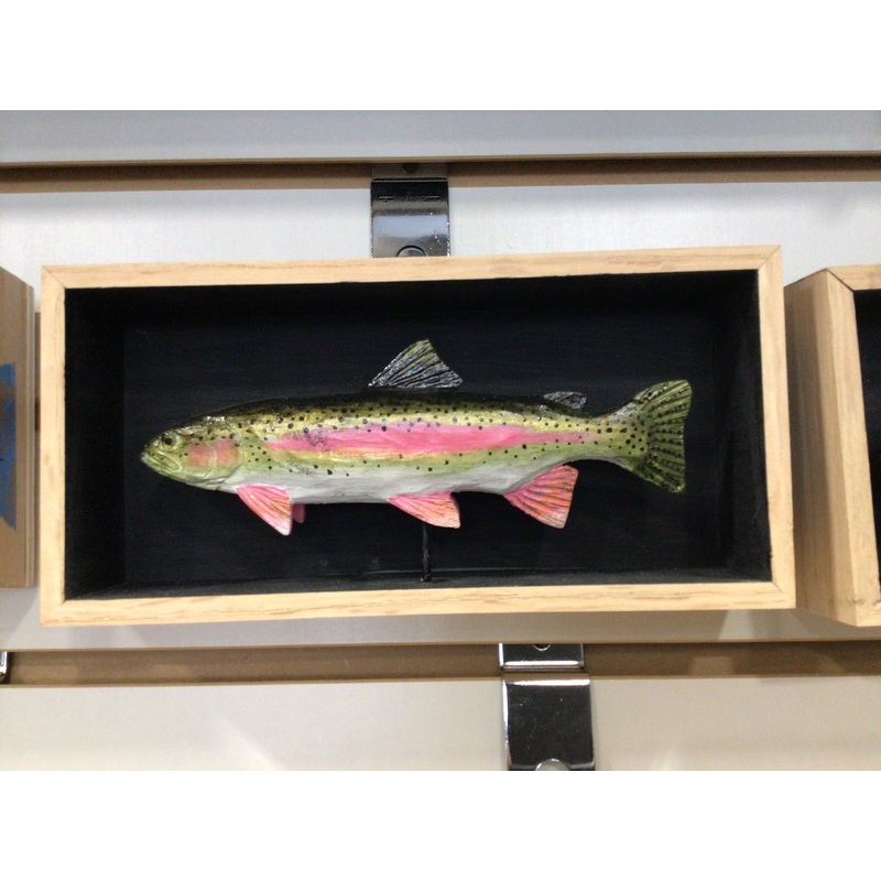 Batchik shadow box rainbow trout
