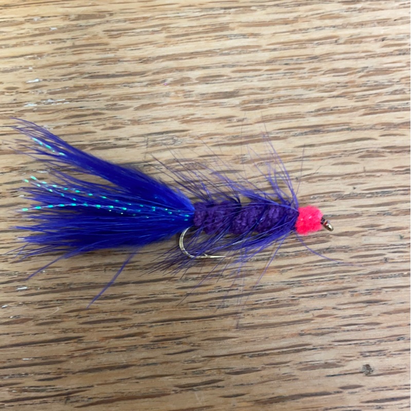 'Lil Egg Sucker 6 Purple
