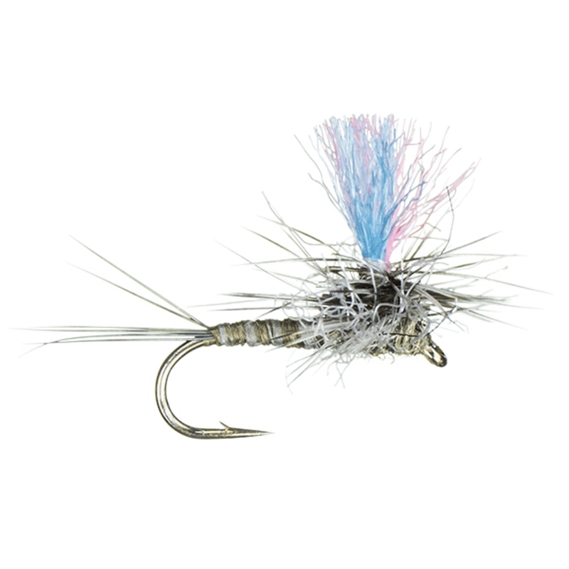 Guide Winna Spinna - BWO 16