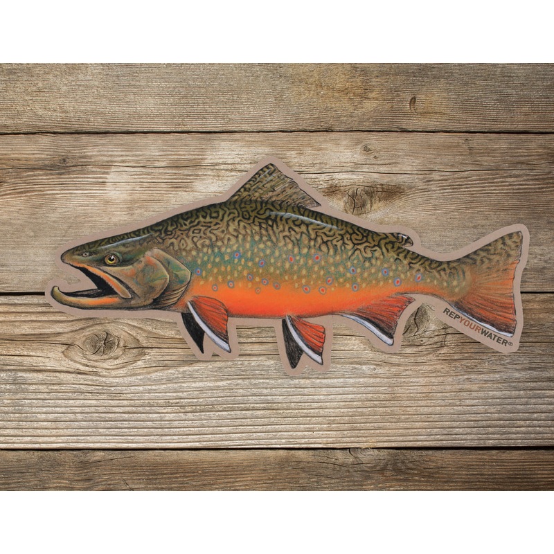 Rep Your Water Fall Brookie Artist's Reserve Sticker Medium