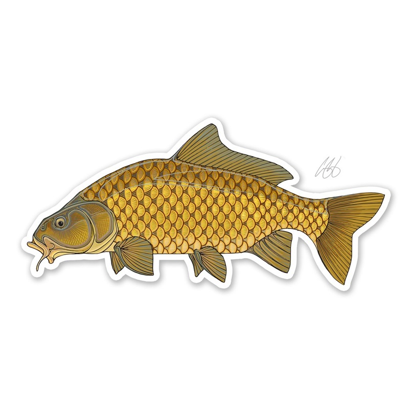 Underwood Carp  Decal
