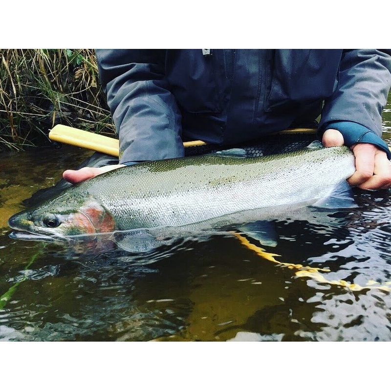 Fly Tying: Steelhead Nymphs and Eggs 2/16 | 6-8 pm