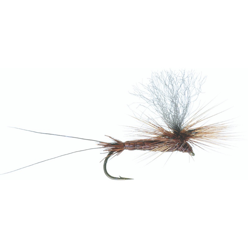 BEAR'S HI-VIZ BROWN DRAKE #10