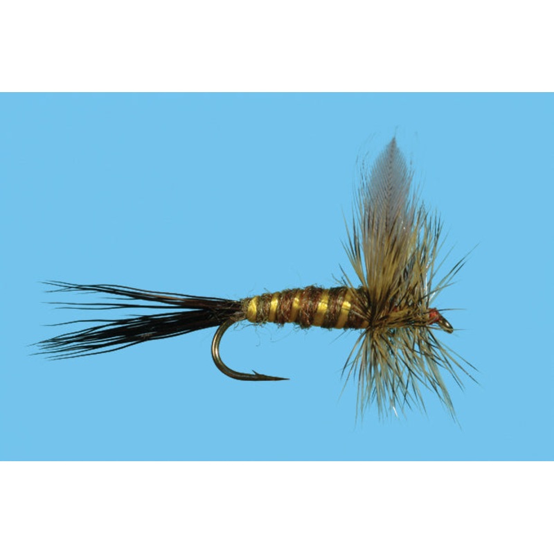 Brown Drake 10