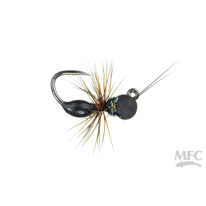 Galloup's Drowned Black Ant 14