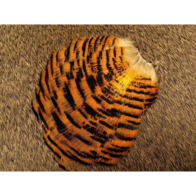Golden Pheasant Tippet Natural