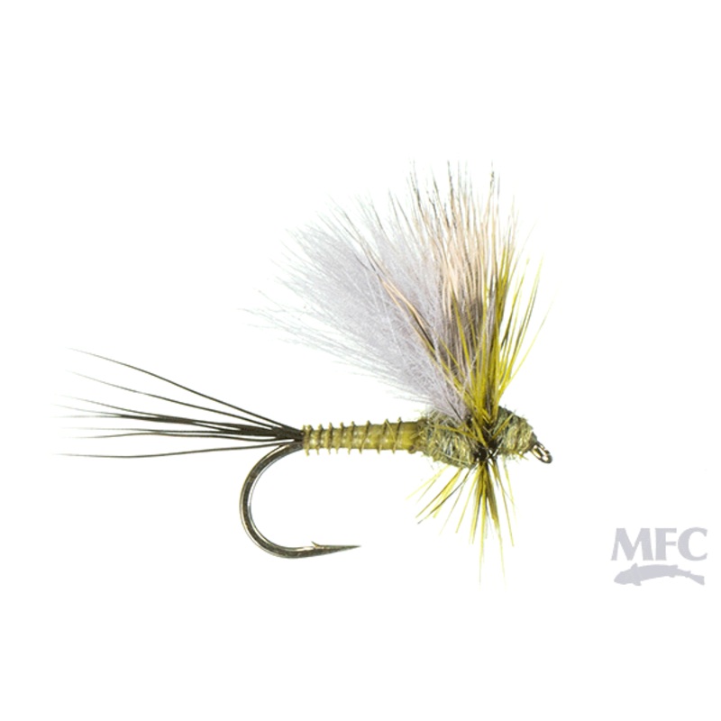 Hatchback - BWO 20