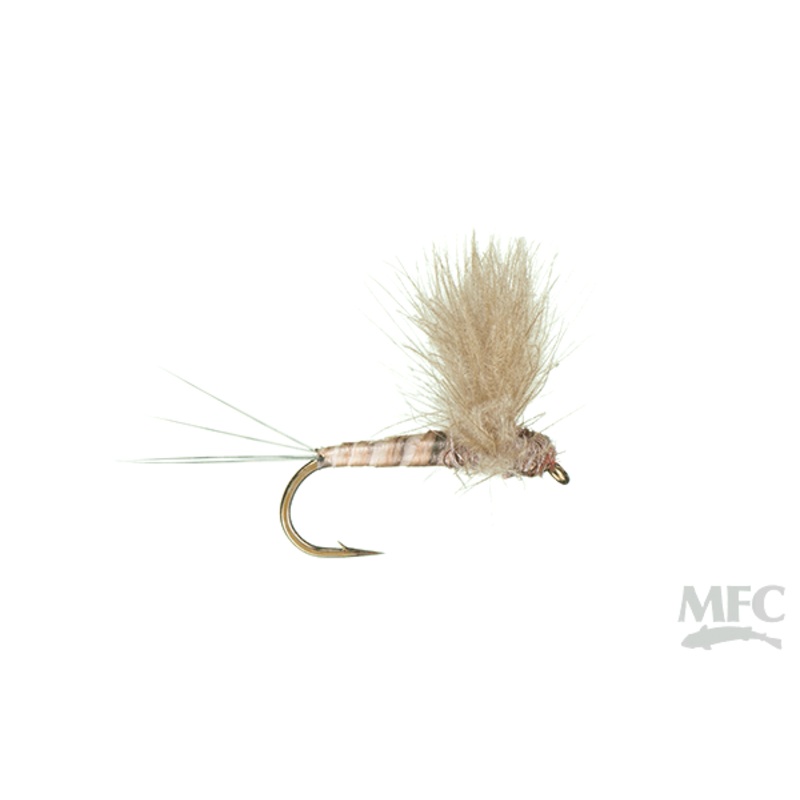 Hendrickson Quill Body CDC Comparadun 12