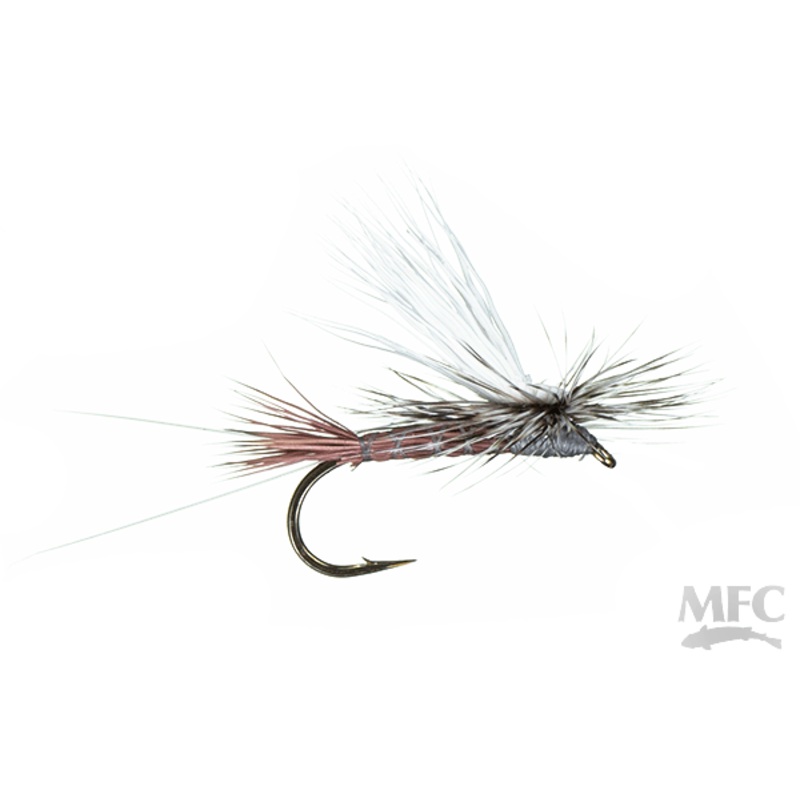McCoy's Iso Cherry Bomb 10