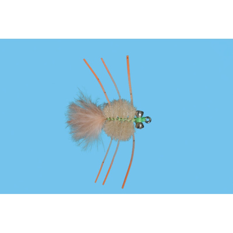 Permit Crab 2