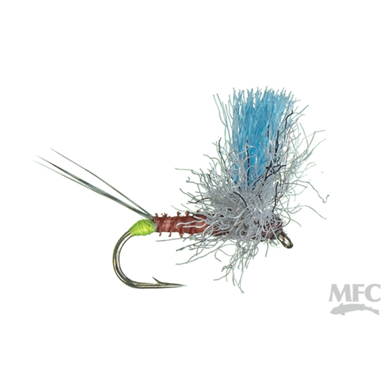 Mahogany Hot Spot 14