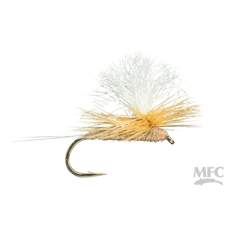 Parachute Pink Albert 14