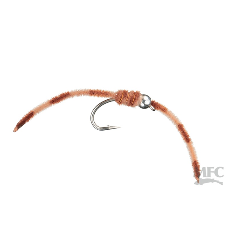 Tan Tiger Worm 10