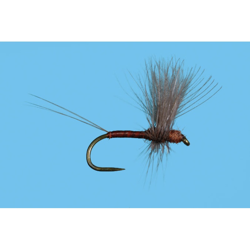 CDC Thorax Red Quill 14