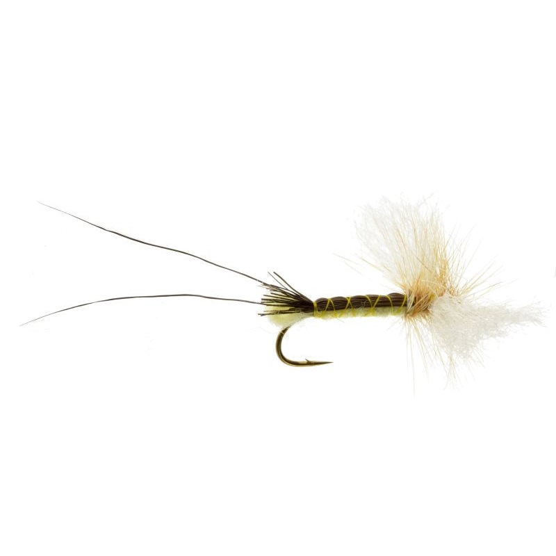 Dirk's Fly Factory Hex - 6