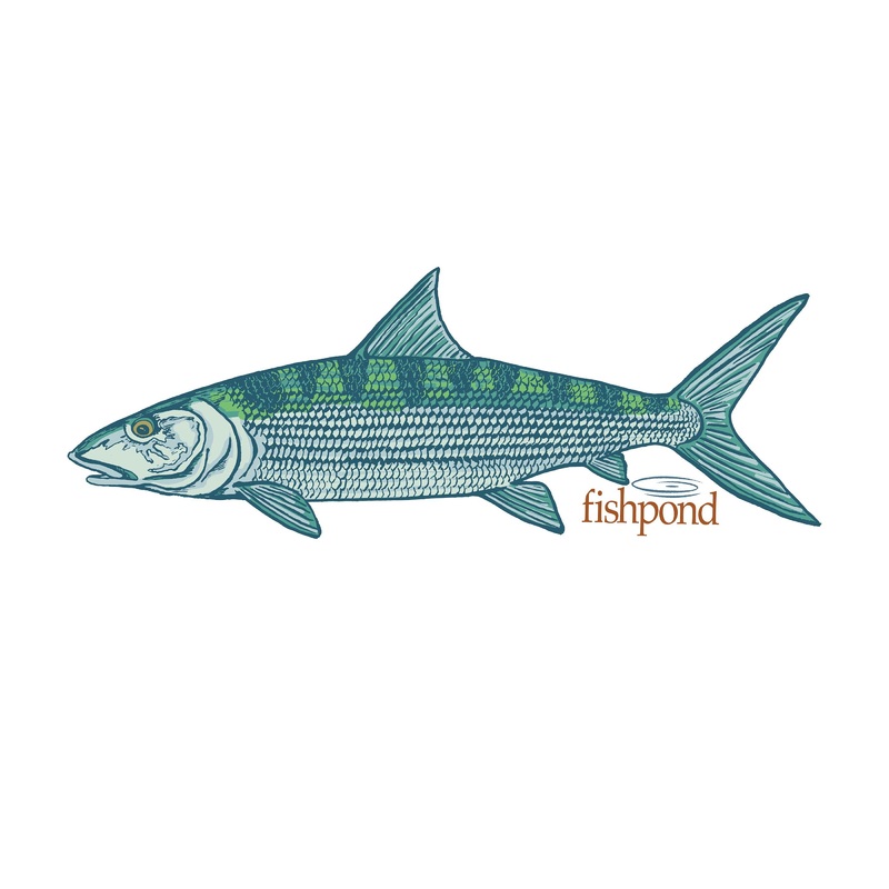 Fishpond Phantom Sticker - 6"
