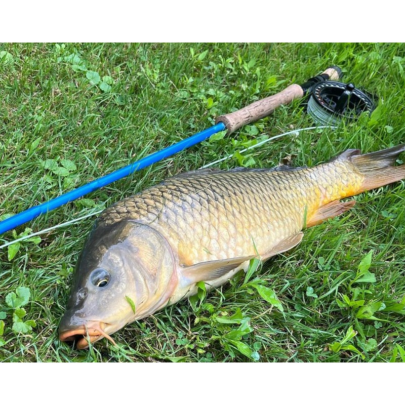 Fly Tying: Carp flies 2/2 | 2:30-4:30 pm