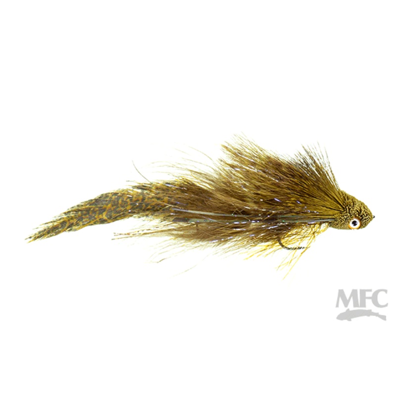 Galloup's Flat Head Kitty Olive | 1