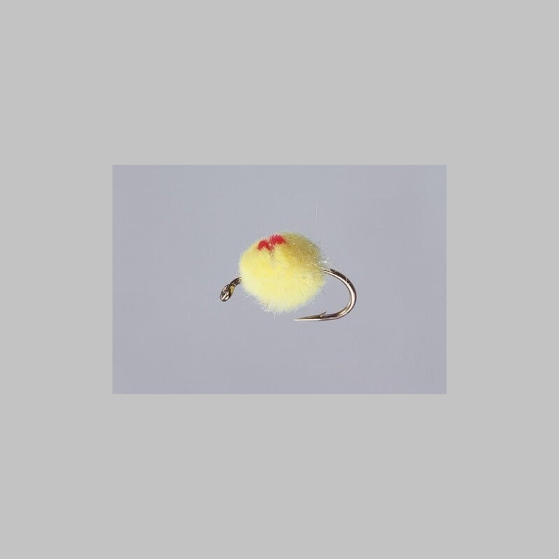 Oregon Cheese Glo Egg 12